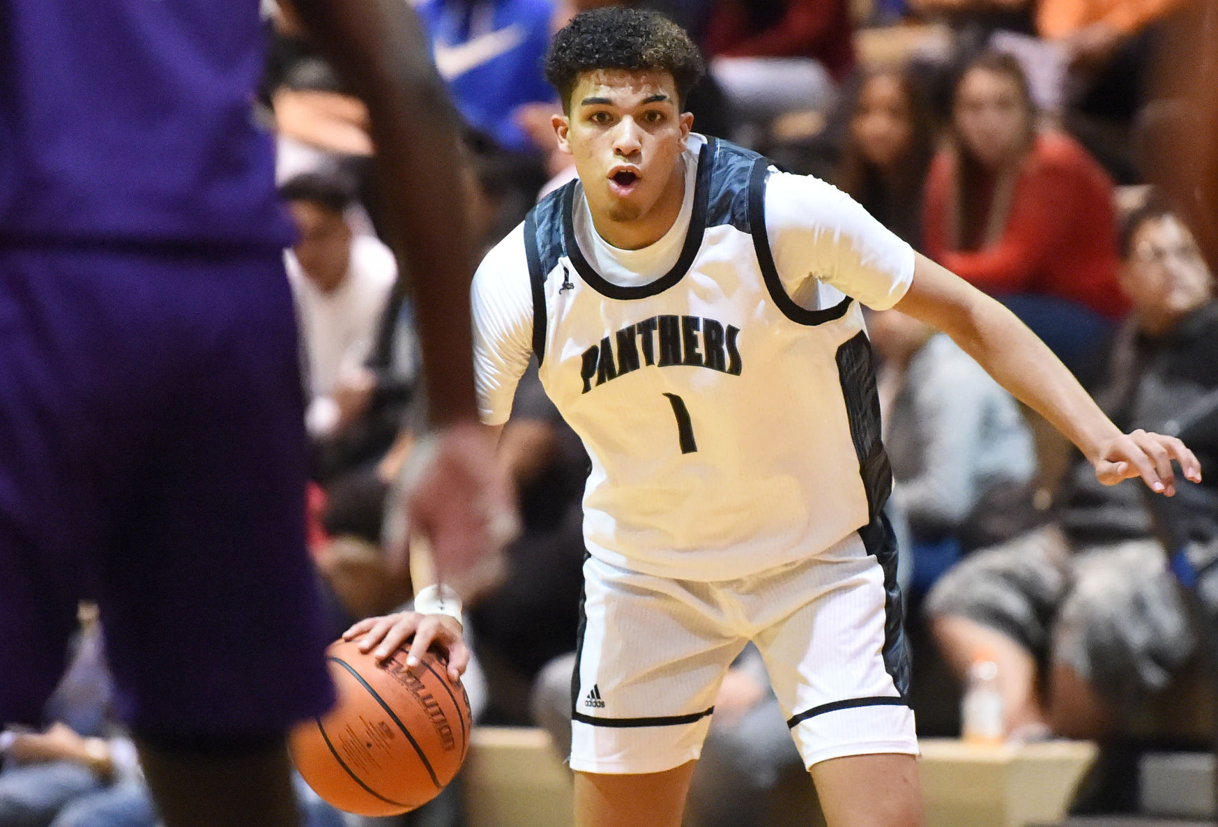PHOTOS: Harrison Panthers (85) Mesa Ridge Grizzlies (66)